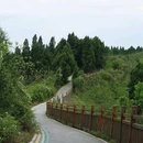 炮台山 - 成都市旅游 缩略图 9