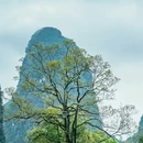 遇龙河风景区 - 桂林市旅游 缩略图 3