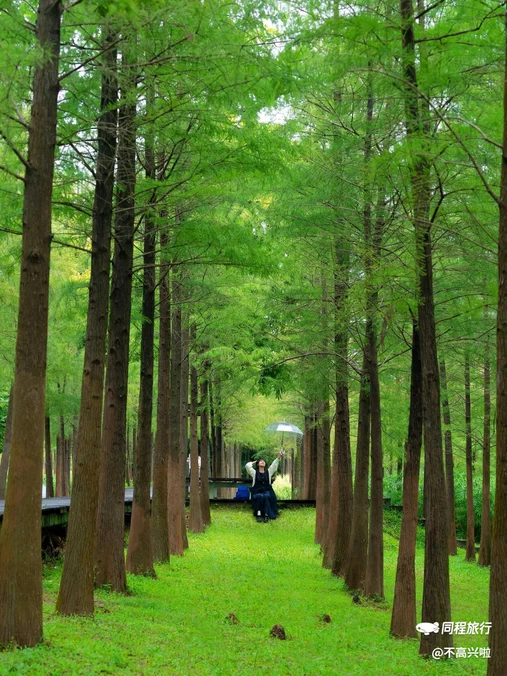 天河大观湿地公园-亲水平台 - 广州市旅游