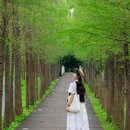 天河大观湿地公园-亲水平台 - 广州市旅游 缩略图 6