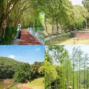 大金钟水库 - 广州市旅游 缩略图 1