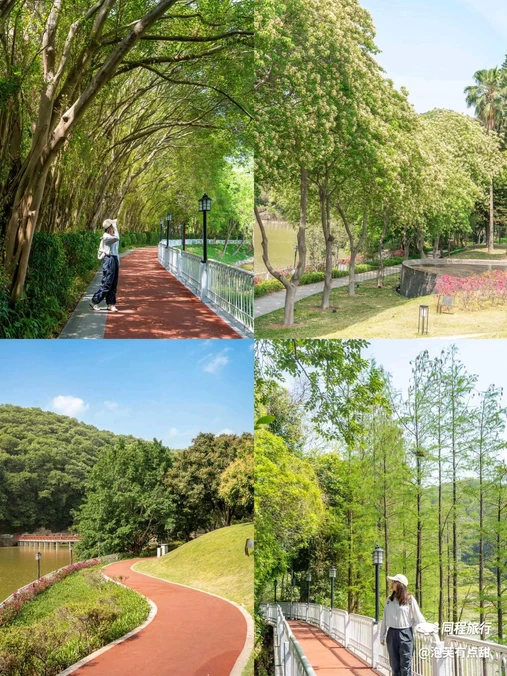 大金钟水库 - 广州市旅游