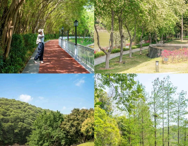 大金钟水库 - 广州市旅游 1