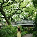 中山公园 - 佛山市旅游 缩略图 1