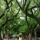 中山公园 - 佛山市旅游 缩略图 2