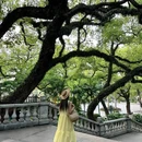 中山公园 - 佛山市旅游 缩略图 3