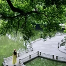 中山公园 - 佛山市旅游 缩略图 6