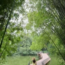 中山公园 - 佛山市旅游 缩略图 7