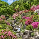 下渚湖·奇幻谷 - 湖州市旅游 缩略图 4