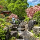下渚湖·奇幻谷 - 湖州市旅游 缩略图 3