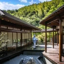 下渚湖·奇幻谷 - 湖州市旅游 缩略图 8