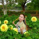 尚湖风景区-1号门 - 苏州市旅游 缩略图 2