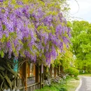 尚湖风景区-1号门 - 苏州市旅游 缩略图 5