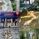 梅园 - 泰州市旅游 缩略图 7