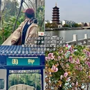 梅园 - 泰州市旅游 缩略图 9
