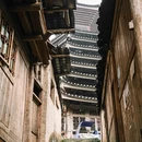 贵州织金洞国家地质公园 - 毕节市旅游 缩略图 6
