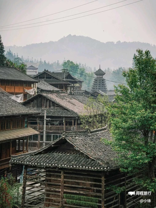 贵州织金洞国家地质公园 - 毕节市旅游
