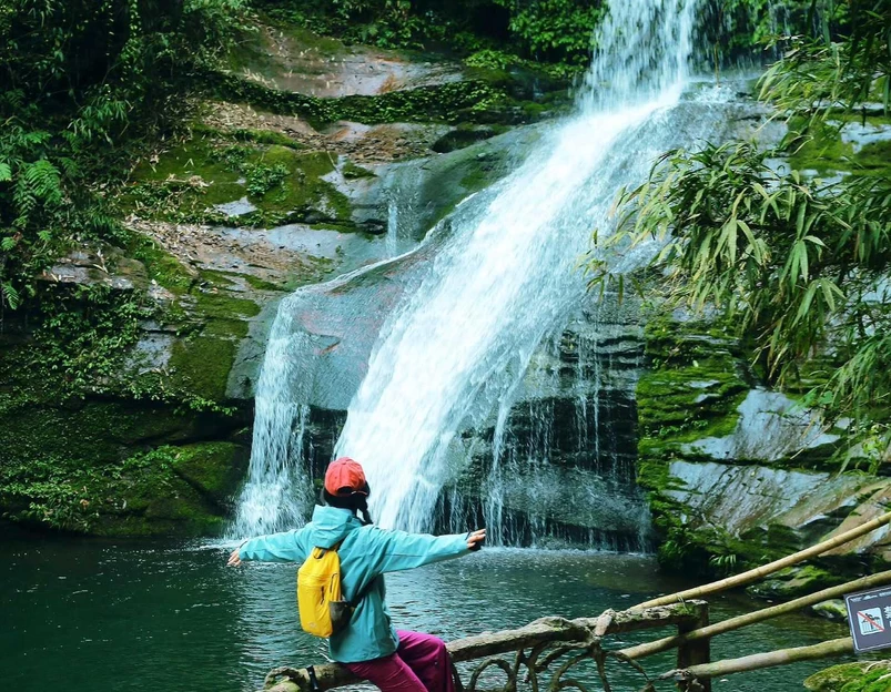 雅安碧峰峡旅游区 - 雅安市旅游 1