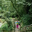 雅安碧峰峡旅游区 - 雅安市旅游 缩略图 7