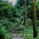 林泉山庄何豆花 - 成都市旅游 缩略图 5
