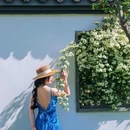 杭州植物园 - 杭州市旅游 缩略图 5