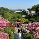 下渚湖·奇幻谷 - 湖州市旅游 缩略图 5