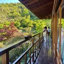 下渚湖·奇幻谷 - 湖州市旅游 缩略图 3