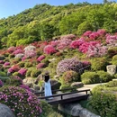 下渚湖·奇幻谷 - 湖州市旅游 缩略图 1