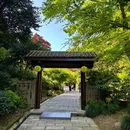 下渚湖·奇幻谷 - 湖州市旅游 缩略图 2