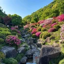 下渚湖·奇幻谷 - 湖州市旅游 缩略图 7