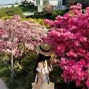 下渚湖·奇幻谷 - 湖州市旅游 缩略图 6