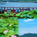 西湖风景名胜区 - 杭州市旅游 缩略图 3
