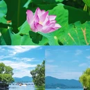 西湖风景名胜区 - 杭州市旅游 缩略图 2