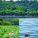 西湖风景名胜区 - 杭州市旅游 缩略图 5