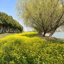 武汉站 - 武汉市旅游 缩略图 1