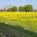 武汉站 - 武汉市旅游 缩略图 6