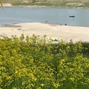 武汉站 - 武汉市旅游 缩略图 8