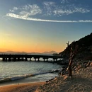 深圳湾公园 - 深圳市旅游 缩略图 5