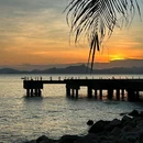 深圳湾公园 - 深圳市旅游 缩略图 1