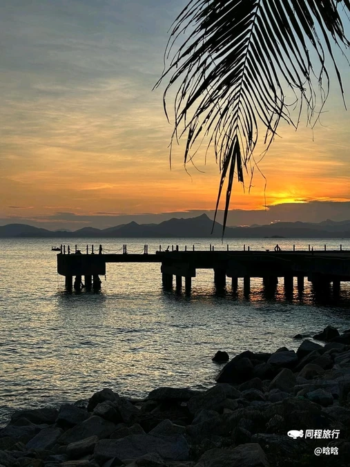 深圳湾公园 - 深圳市旅游