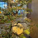 合肥滨湖国家森林公园 - 合肥市旅游 缩略图 9