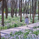 将府公园 - 北京市旅游 缩略图 3