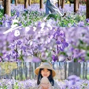 将府公园 - 北京市旅游 缩略图 7