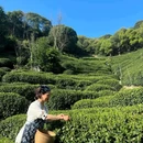杭州乐园旅游区-杭州乐园 - 杭州市旅游 缩略图 5