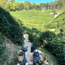 杭州乐园旅游区-杭州乐园 - 杭州市旅游 缩略图 2