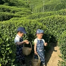 杭州乐园旅游区-杭州乐园 - 杭州市旅游 缩略图 4