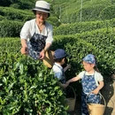 杭州乐园旅游区-杭州乐园 - 杭州市旅游 缩略图 6