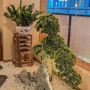 奥园广场 - 珠海市旅游 缩略图 9