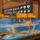 青隐苏浙菜江南味 - 杭州市旅游 缩略图 9