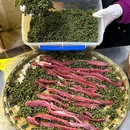 杨春霞火锅(解放碑店) - 重庆市旅游 缩略图 9